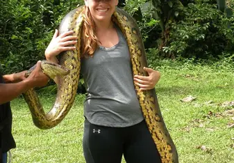 Anaconda in the Amazon