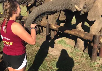 Jabu the Elephant