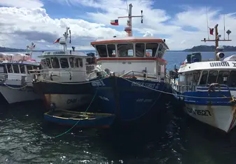 Chiloe Boats