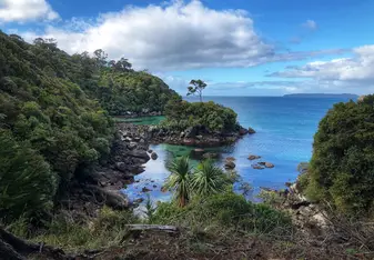 Photo from trail on Stewart Island