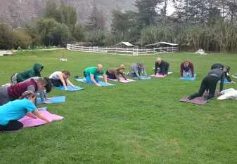 Yoga Lessons