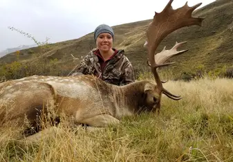 Hunting fallow deer in New Zealand