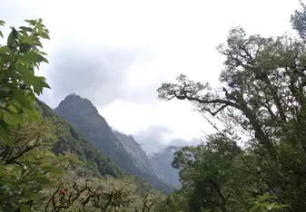 South Island, New Zealand