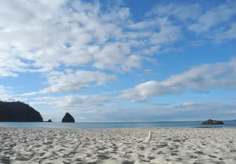 New Chum's Beach