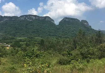 Mogotes
