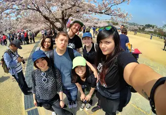 Cherry Blossoms & Japanimals