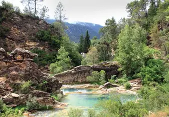 river running through the woods in Spain