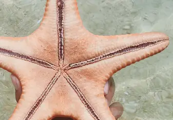 Picture of my holding a starfish.