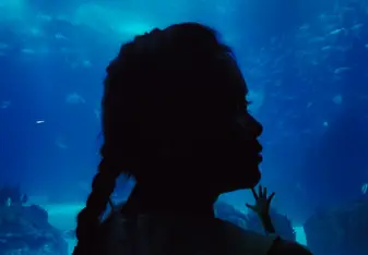 The silhouette head looking out into blue wide waters of the Atlantic Ocean 