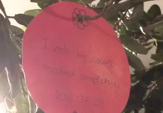 Balloon labeled: “I wish my cousin recovered completely.”
