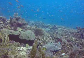 One of the dive sites