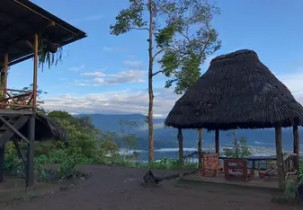 The Amazon