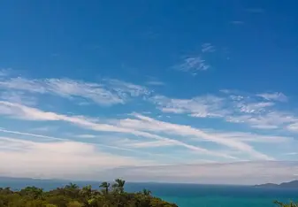 view of the blue sky and green forest