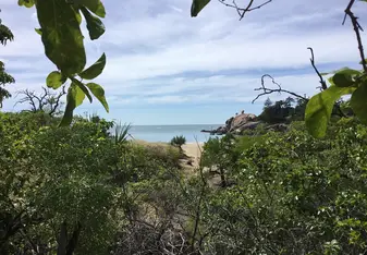 Balding Bay