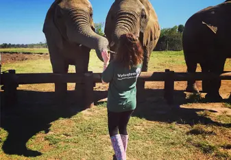 Feeding the elephants at the elephant sanctuary (they really love fruit!)