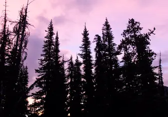 The pure beauty of nature