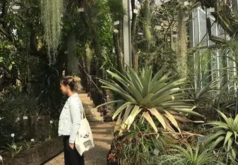 Surrounded by exotic plants while visiting the Botanischer Garten 