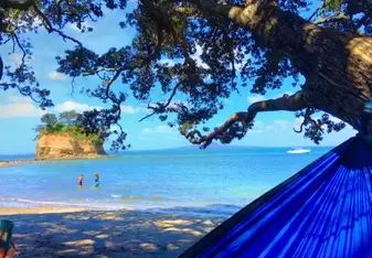 Hammock