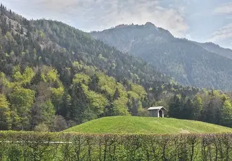 Green and mountains