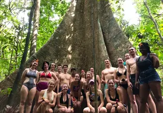 Jungle Trekking