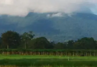 Volcano in the mist