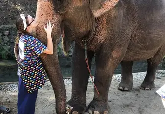 Kanta Elephant Sanctuary