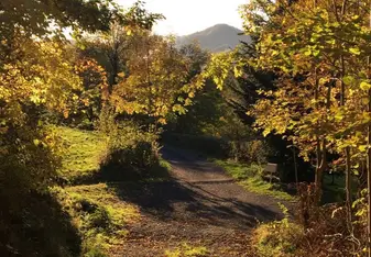 The winding mountainside trails of Auvergne, France