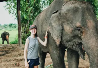 Elephant Village