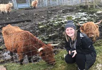 Visiting Highland Cows