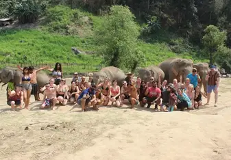 Group elephante 