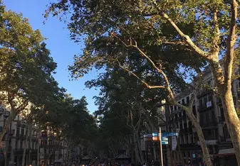 Barcelona street life 