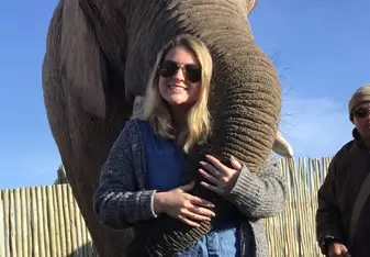 Elephant