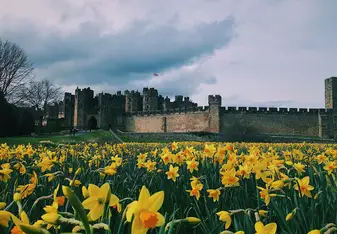 Gardens outside Alnwick Castle 