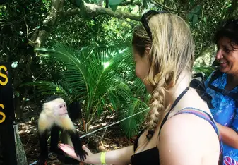 Meeting Capuchin monkeys in Parque Nacional Manuel Antonio!
