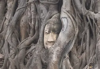 Ayutthaya, Wat Mahathat