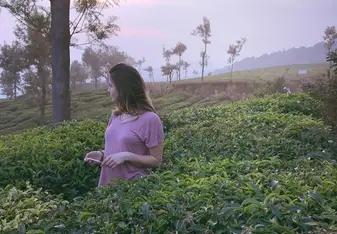 Munnar 