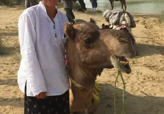 camel ride