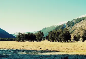 Tramping
