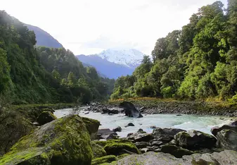 Tramping