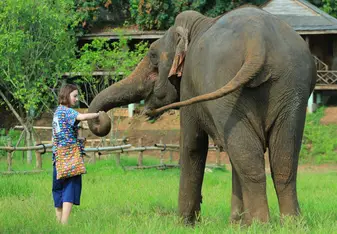 holding hands with an elephant 