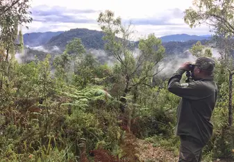 Nyungwe Forest
