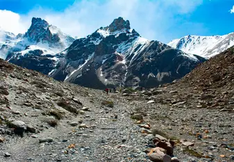 fitz roy