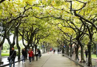 Shanghai Normal University - student walkway