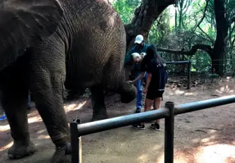 Elephant Sanctuary 