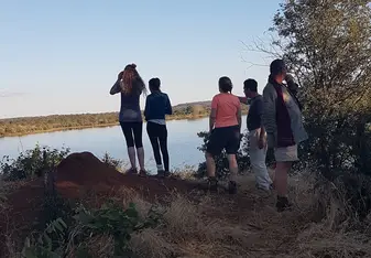 Tracking, seeking, viewing, watching, learning, safari