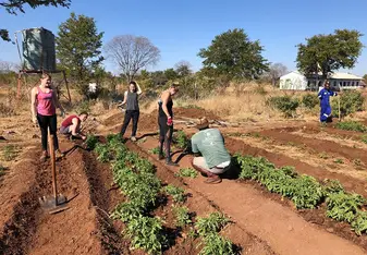 Gardening, Volunteering, Primary School, Masuwe