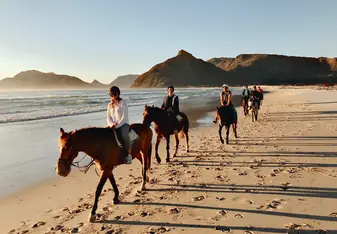 horseback riding group pic
