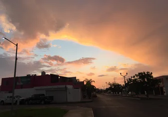 Street