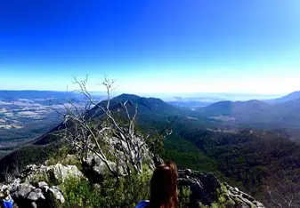 wonderful view of the mountain