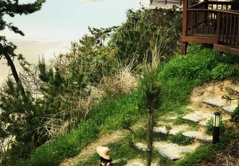 a woman wearing a white hat while sitting on a stairs full of green grass